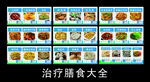 治療膳食大全展示圖
