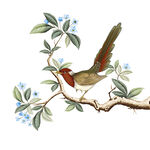 手繪花鳥