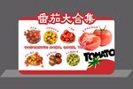 西紅柿大合集 店教牌