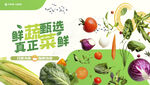 蔬菜海報(bào)