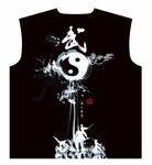 中式太極武術(shù)風(fēng)