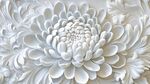 白色浮雕菊花藝術(shù)圖案