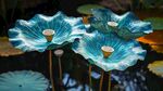 藍(lán)韻荷花綻于清幽水面