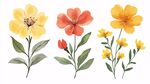 多彩花卉插畫