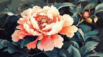 盛開(kāi)的嬌艷牡丹花