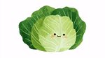 可愛(ài)卡通卷心菜插畫(huà)
