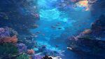 夢幻海底世界 多彩珊瑚魚群