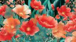 絢爛紅罌粟花卉插畫