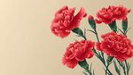 鮮艷紅康乃馨花卉圖