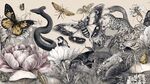 復(fù)古風(fēng)動植物插畫藝術(shù)