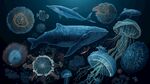 夢(mèng)幻深海生物群像