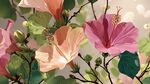 夢(mèng)幻芙蓉花綻放之美