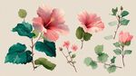 粉色木槿花卉植物插畫