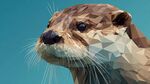 低多邊形水獺頭像插畫