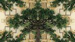 對(duì)稱奇幻樹景藝術(shù)畫面