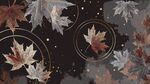 秋楓葉影 夢(mèng)幻黑金背景