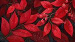 紅葉片片 露珠點(diǎn)點(diǎn)