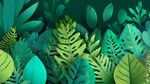 熱帶綠植插畫(huà) 清新自然風(fēng)