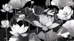 黑白水墨風(fēng)荷花插畫