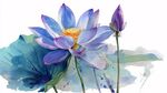 水墨風(fēng)藍(lán)紫色荷花圖