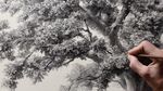 手繪大樹細節(jié)創(chuàng)作瞬間