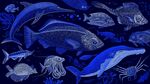 夢幻海洋生物群像圖