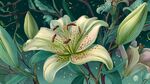 夢幻百合花綻放綠意間