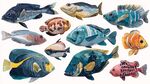 多彩水彩魚類圖案集合