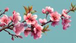 枝頭粉嫩桃花綻放