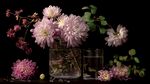 紫菊插花靜物優(yōu)雅景致