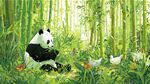 竹林中的熊貓與白鵝
