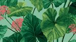 熱帶綠植花卉圖案背景
