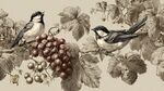 鳥棲葡萄藤 復(fù)古風(fēng)插畫