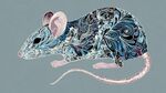 藍紫花紋鼠插畫