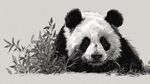 黑白熊貓依偎翠綠竹子旁
