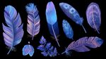 夢幻藍紫色系精美羽毛集合