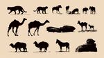 動物剪影集合 豹駝羊等