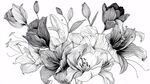 黑白花卉手繪插畫