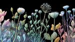 夢幻多彩花卉植物插畫