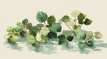 水面上的翠綠植物群落