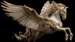 金色飛馬展翅騰飛