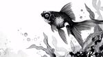 水墨風(fēng)金魚靈動(dòng)水中游