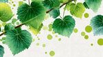清新綠葉水彩背景圖