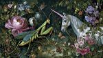 獨(dú)角獸與螳螂的奇幻花園