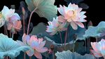 夢(mèng)幻粉藍(lán)荷花綻放圖景