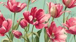 粉色郁金香花卉美麗插畫(huà)