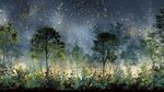 夢幻星空下的靜謐森林