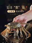夏日大閘蟹