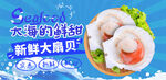 鮮扇貝刺身