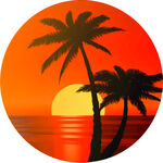 夕陽下的椰樹海景